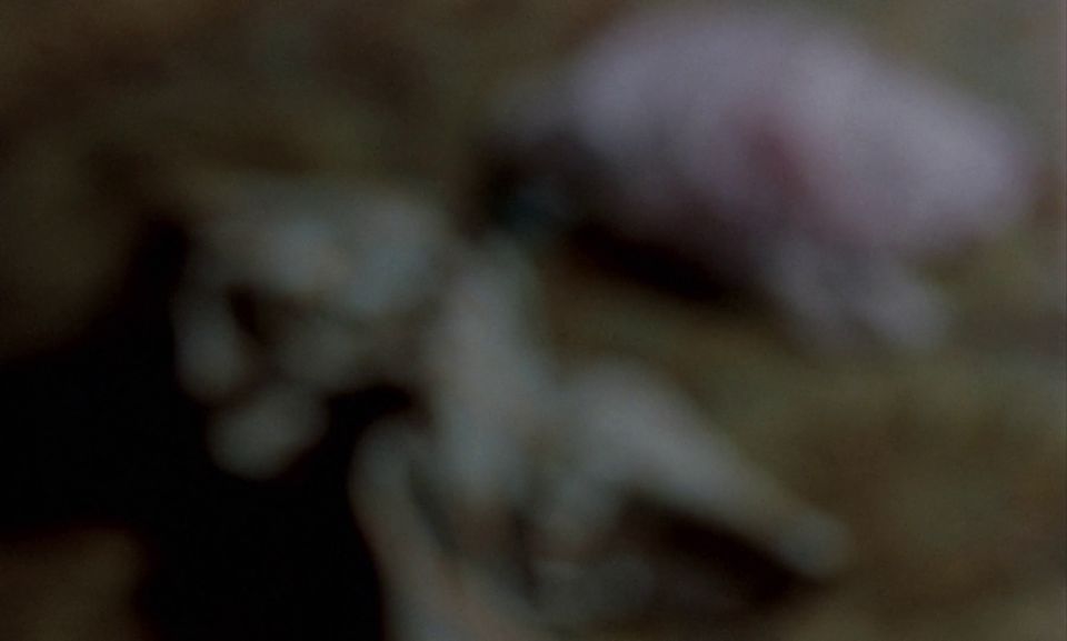 Au Pair chicas 1972 El clásico vintage erótica Thriller