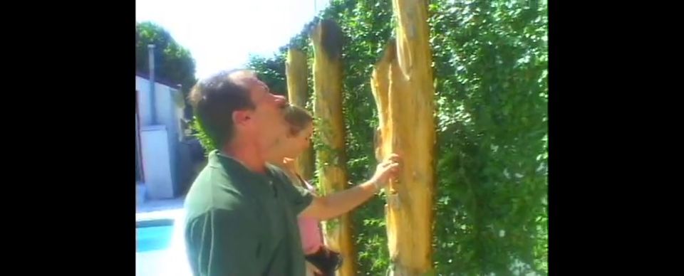 Holly Hollywood Girlgasms 2 (2005)