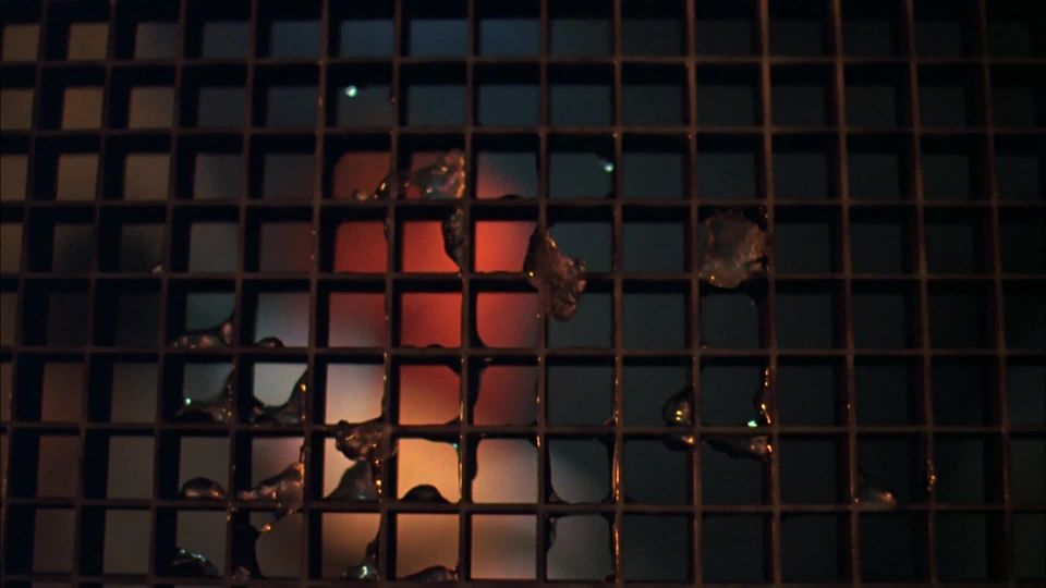 Junio Chadwick, Dawn Dunlap – Mundo Prohibido (1982) HD 1080p - (Celebridad porno)