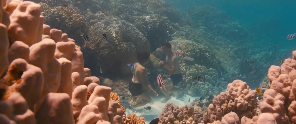 Sarita Choudhury – A Hologram for the King (2016) HD 1080p - (Celebrity porn)