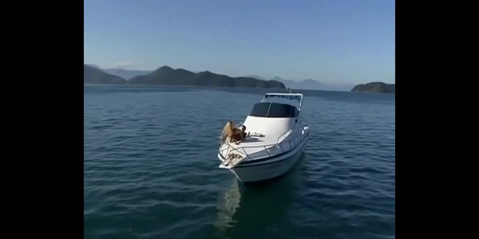 free xxx video 22 online porn clip 27  latina girls porn | Viva Latina #3 | suzanna on latina girls porn 