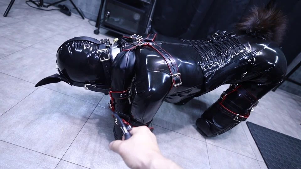 Fantia jp DDD04004120 (Human Dog Balloon) ヒトイヌバルーン３