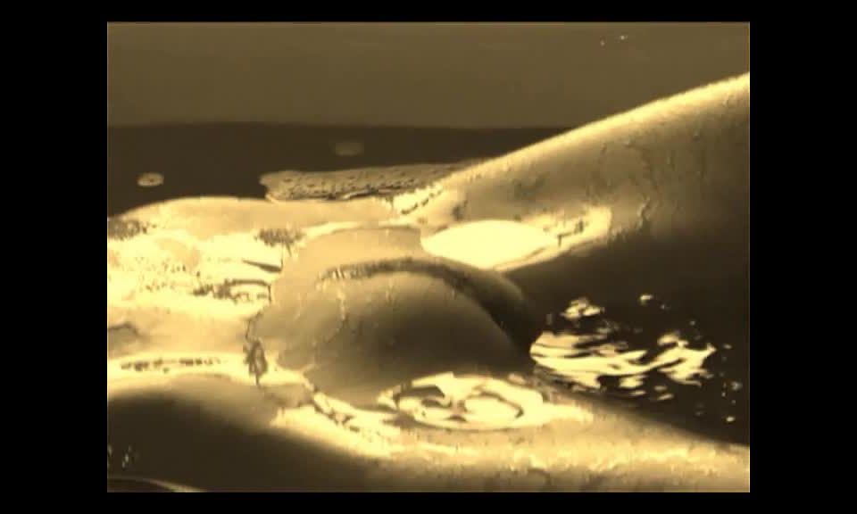 Falizia erotic Julia F