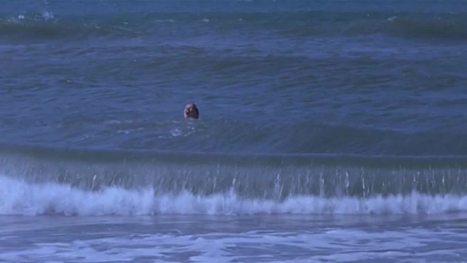 Sophie Quinton - Avril (2006) HD 720p - (Celebrity porn)