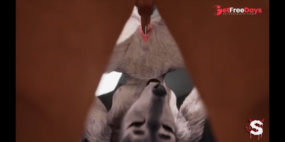 [GetFreeDays.com] Sexy furry teen fucks lucky guy to cum on his face in Wild Life furry sex Porn Film January 2023