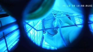 online adult video 30 Tanning voyeur 2 on voyeur 