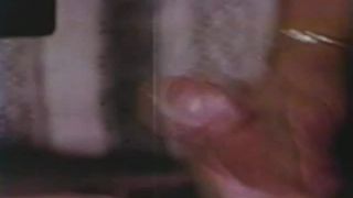 Viva 12 – The Bra Busters - [Vintage]