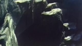 Tanya’s Island (1980)(Vintage)