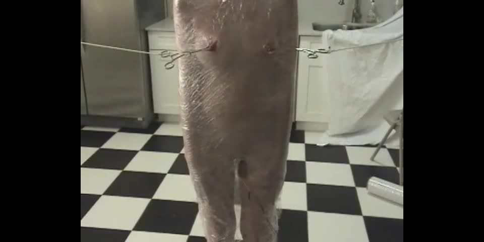 Porno online de la víctima de voluntad de Sir B Nyssa Nevers 2