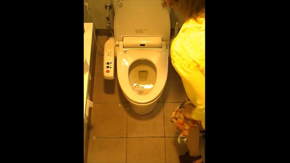 video 42 Womens Western style toilet | hidden camera | webcam 