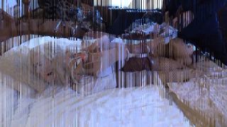 [GetFreeDays.com] Rich Bitch Diva 2018 x264 bdsm tattoo