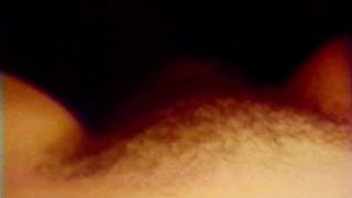 HallOfFameStars houseparty orgy