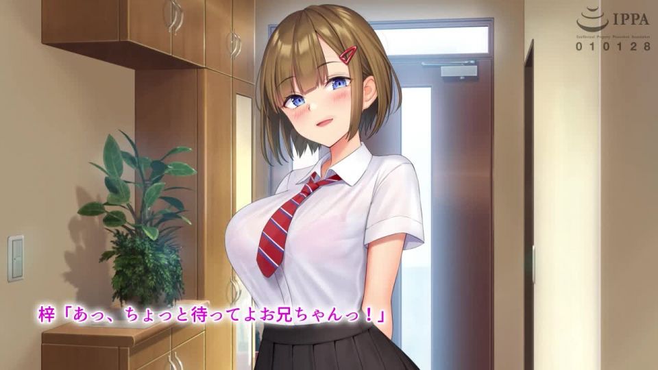 Mi hermana en la ley El anime de la moción HD.