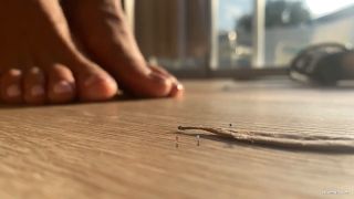 WorldUnseenFilms - Micro Maniacs (Fetish porn)