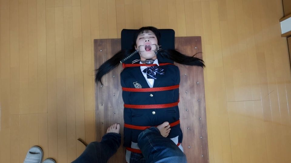 Limón 2312257 697a7fd1 10  3