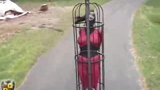 Casa de Gord19 07 26 Moxxie Maddron - jaula de camión de giro (Escena)