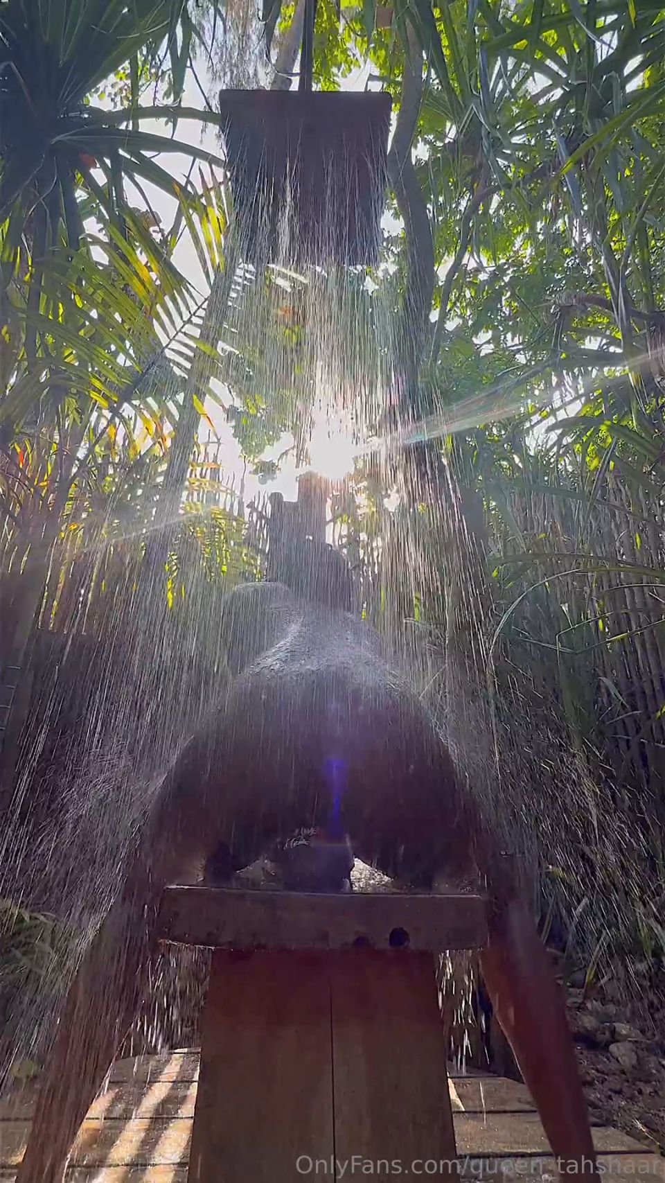 queen tahshaar qt052