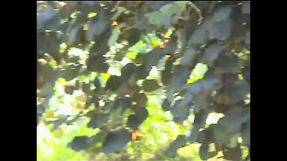 free adult clip 3 Horny Girl Public Sex on public 