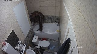 Guest Guy Morning Shower 29-10-2024 720P - Voyeur