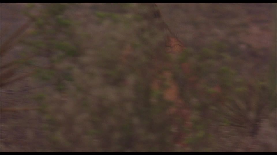 Claudette Maille – Como agua para chocolate (1992) HD 1080p!!!