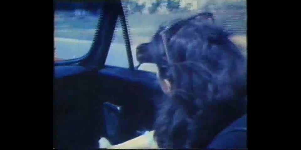 Sexo Proibido (1984)!!!