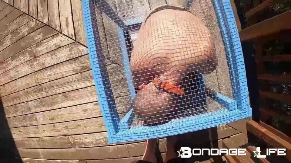 video adulto gratis 33 Bondage Life – Pequeño jaula Rachel Greyhound en bdsm porno gigi allens femdom