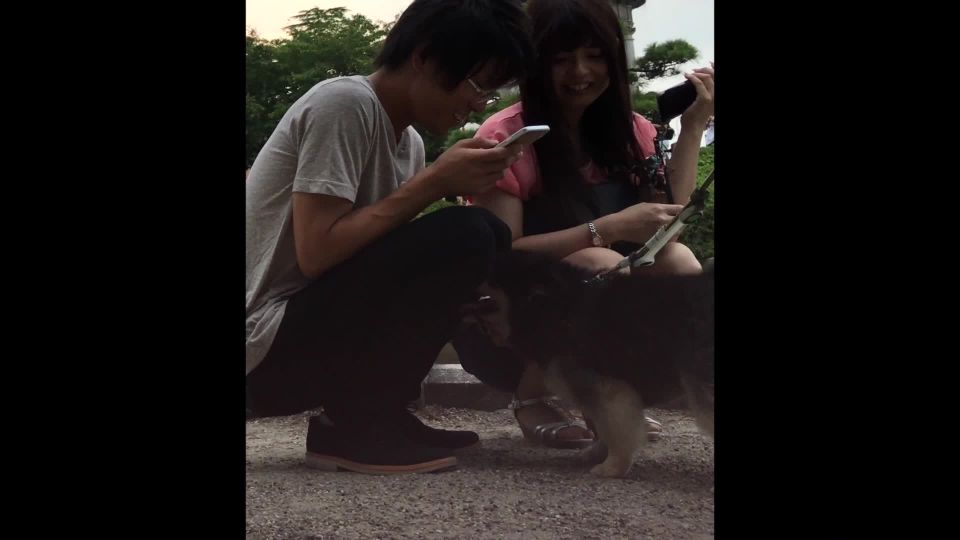 Voyeur Gcolle – gcolle mm118  voyeur  voyeur