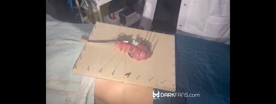 SADIC SADIE - It's Hammer Time.