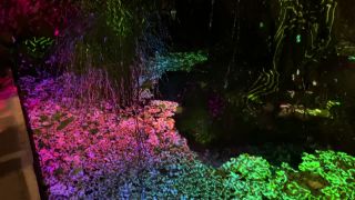 free porn clip 43 ffm femdom / femdom / femdom porn