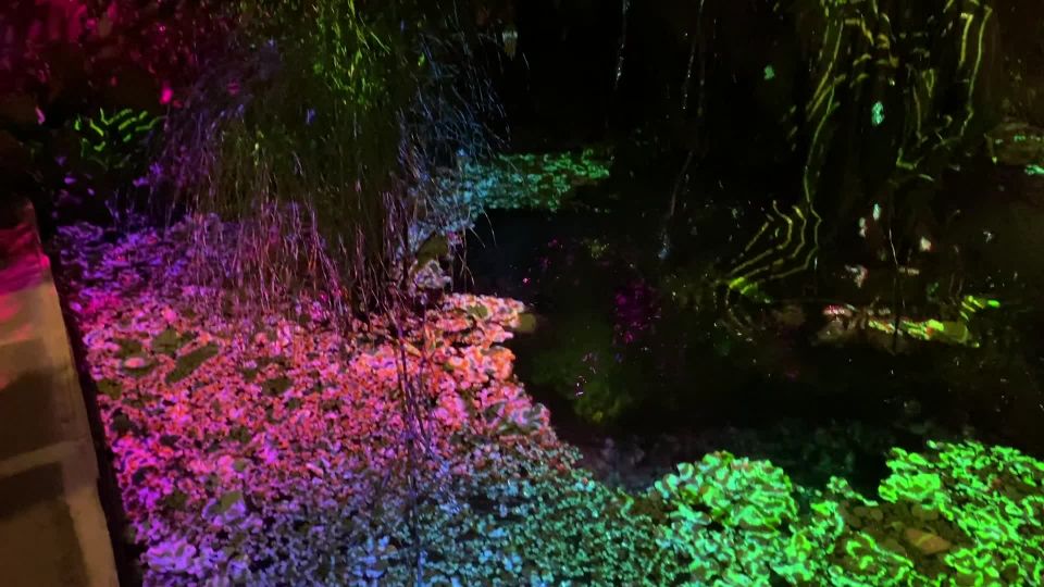 free porn clip 43 ffm femdom / femdom / femdom porn