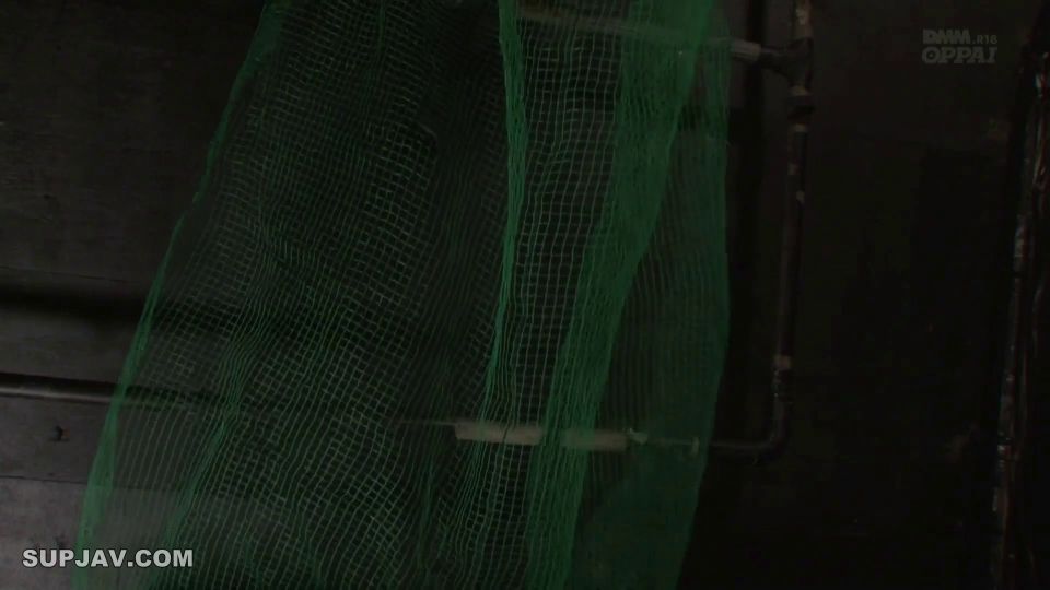 Reducing Mosaic PPPD-317 巨乳潜入捜査官 北川瞳