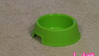 [SITERIP] Humiliatrix alydogdish