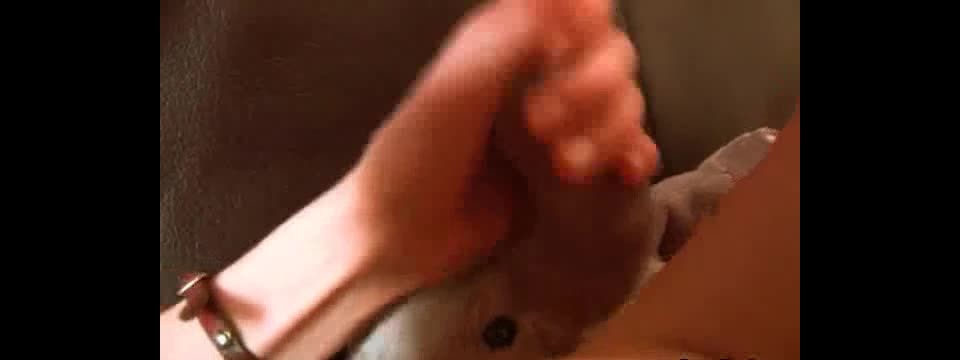 Adolescentes Estudiantes 143