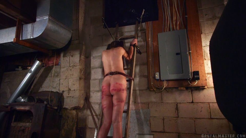 free video 41 korean sex bdsm bdsm porn | Dog - Crouching Dog Hidden Slut - New BDSM VIP Porn | bdsm