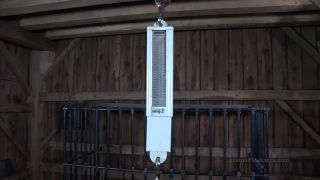 video clip para adultos 7 Coño Inútil Parte 1 BONUS, Bdsm rimjob en bdsm porno