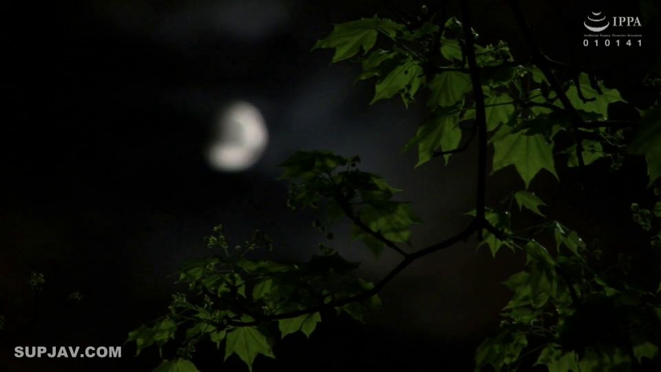 ReducingMosaic VENU-815 定年退職してヒマになったドスケベ義父の嫁いぢり 神宮寺ナオ