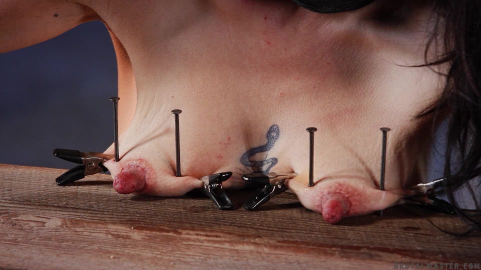 online xxx video 10 carlin says femdom Brutal Master – Dog Tit Nailing & Milking Chapter 2, brutal master on bdsm porn