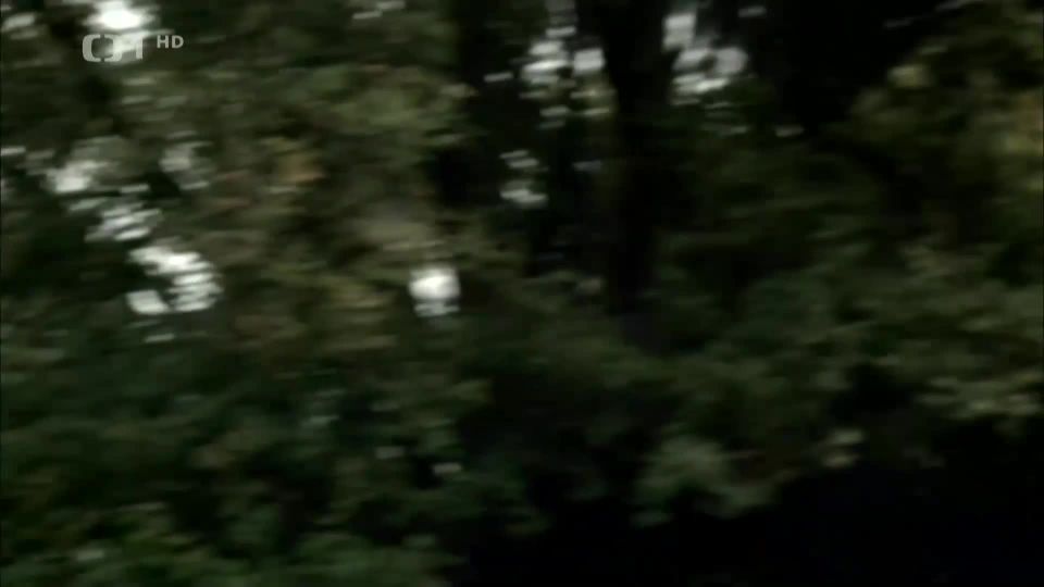 Adela Petrekova, etc - Zablesky chladne nedele (2012) HD 1080p - [Celebrity porn]