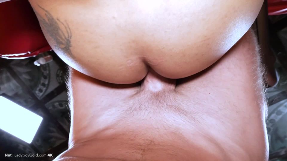 video 29 Nut Sex Swing Pushed In Creampie on cuckold porn 