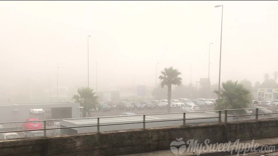 Public Orgy Unleashed: Risky Blowjob On A Moving Bus