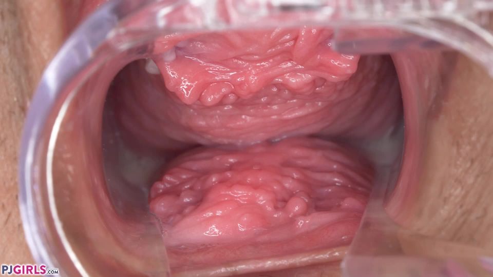 online clip 28  toys | Pjgirls presents 2019-10-11 – Twinkie – Inside Twinkie | big dildos