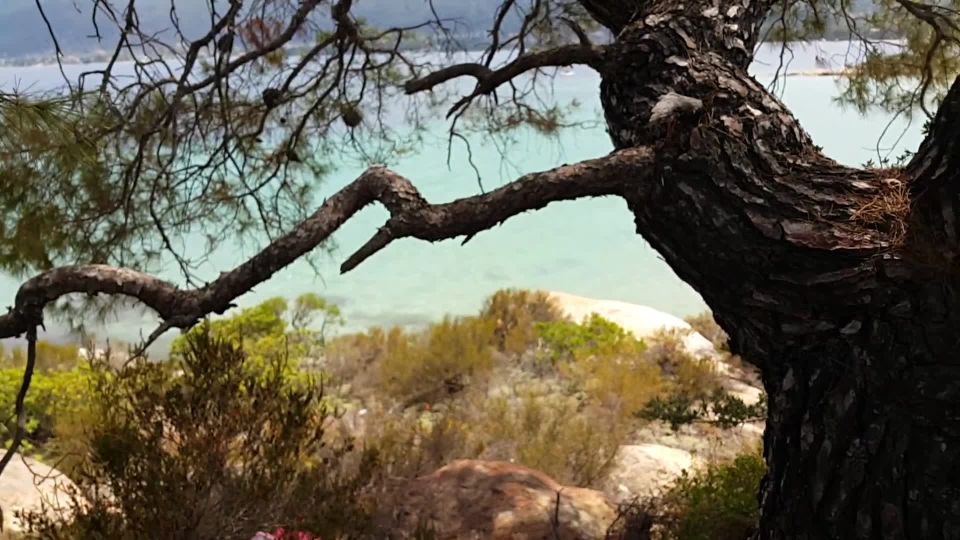 Dream4AngelLady in Red#no panties#open pussy#wide spred long legs