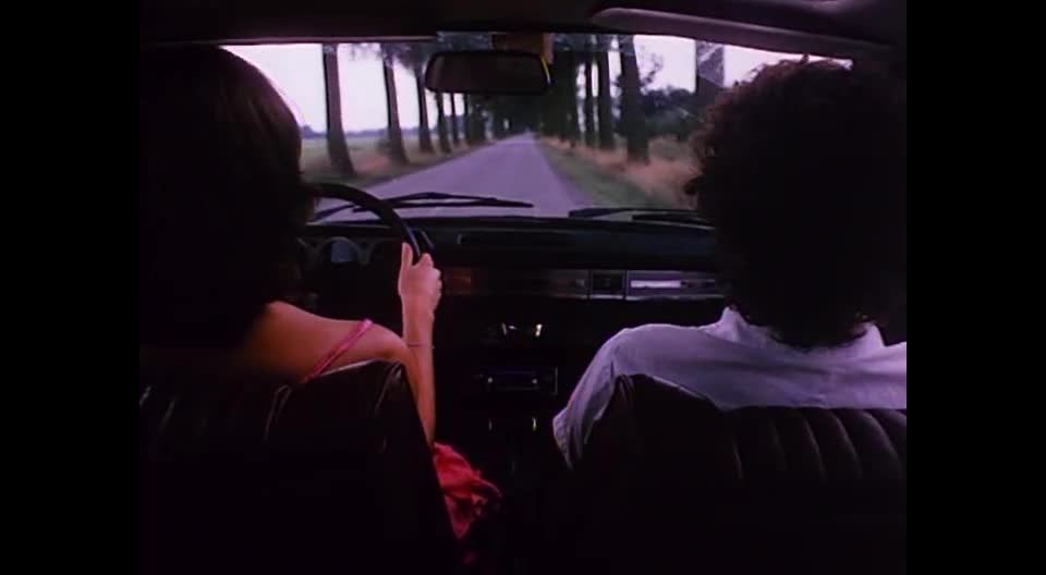 7201 Pruimen Bloesem