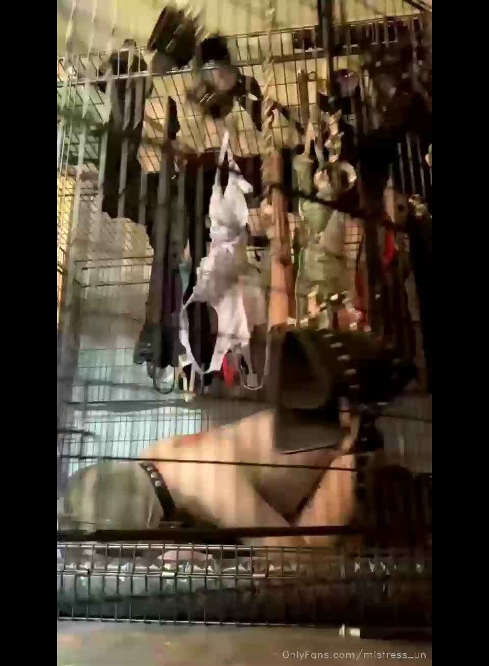 adult video clip 24 MISTRESS un – Green cloth dress Dog food | mistress un | femdom porn bangla femdom