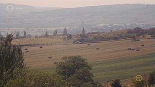 Georgina Lempin Hamis a baba (1991)