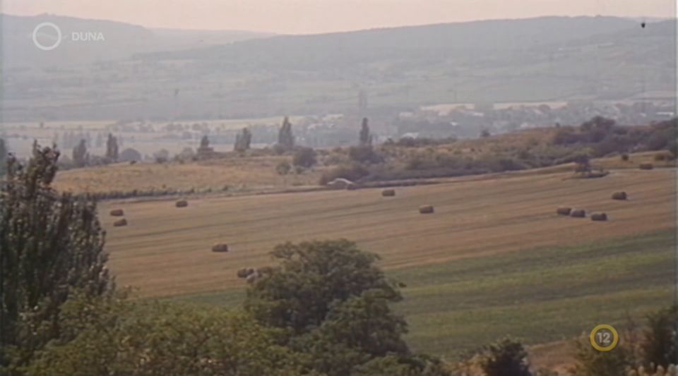 Georgina Lempin Hamis a baba (1991)