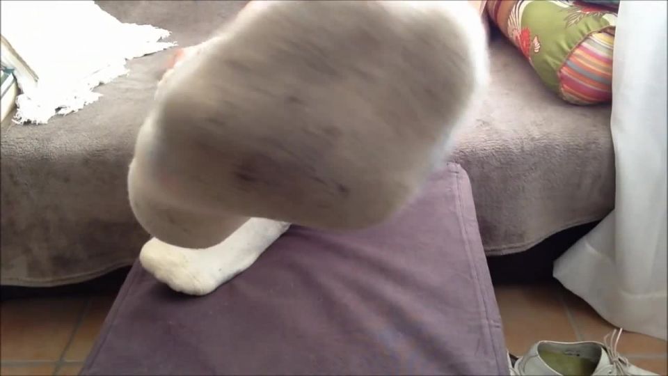 Video en línea Huele mis calcetines apestosos y pies sudorosos