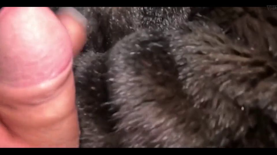 Fetish 3801855166.mp4