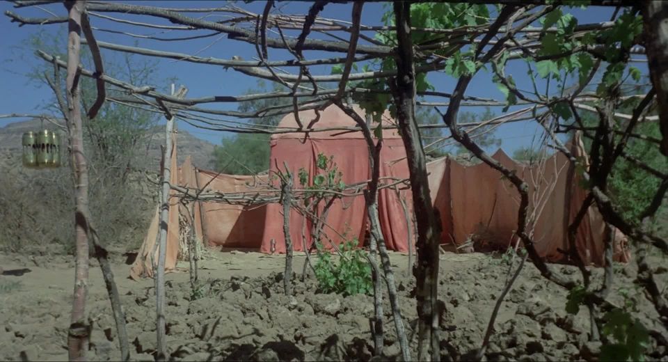 Inés Pellegrini, Barbara Grandi, etc - Arabian Nights (1974) HD 1080p - (Porno de Celebridad)