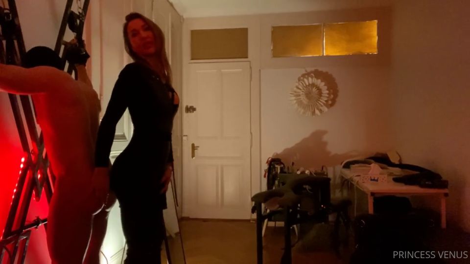 Femdom Princess Venus – I Was Very Mean And Cruel. He Loved It